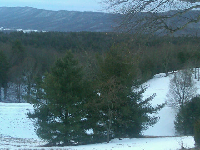 View From Front Porch