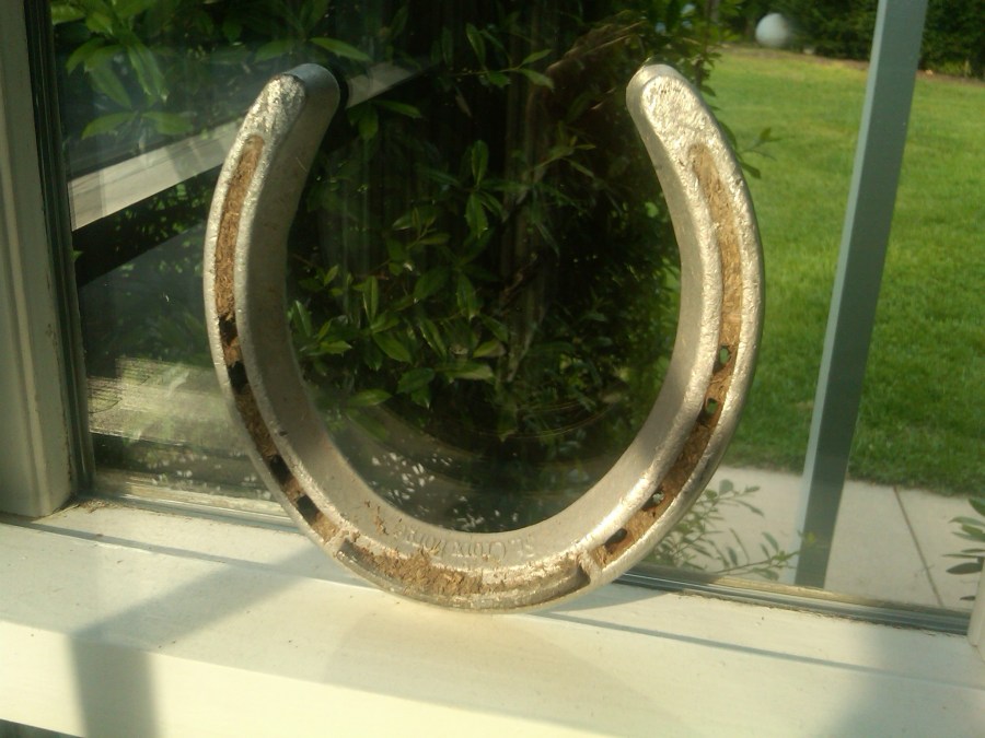 /home/wpcom/public_html/wp-content/blogs.dir/3e6/17878083/files/2011/05/img00672-20110501-1804.jpg my lucky horseshoe from Churchill Downs