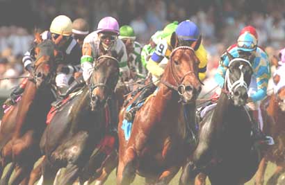 Picture curtesy of www.kentuckyderbybetting.org