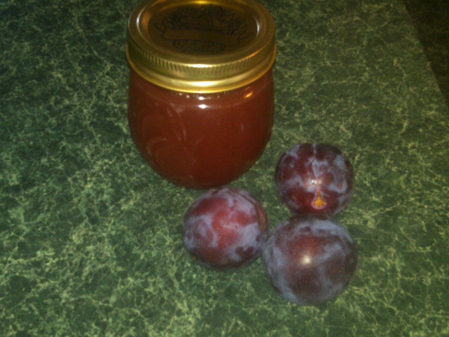 /home/wpcom/public_html/wp-content/blogs.dir/3e6/17878083/files/2011/06/plums-and-their-sweetened-nectar-in-a-jar.jpg