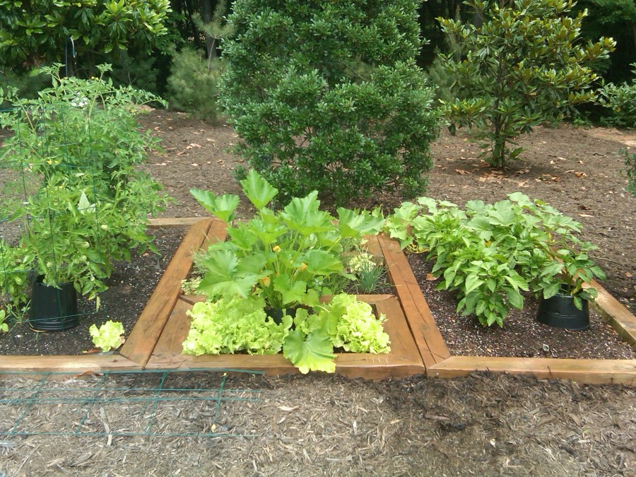 /home/wpcom/public_html/wp-content/blogs.dir/3e6/17878083/files/2011/06/vegetable-and-herb-garden-2011.jpg