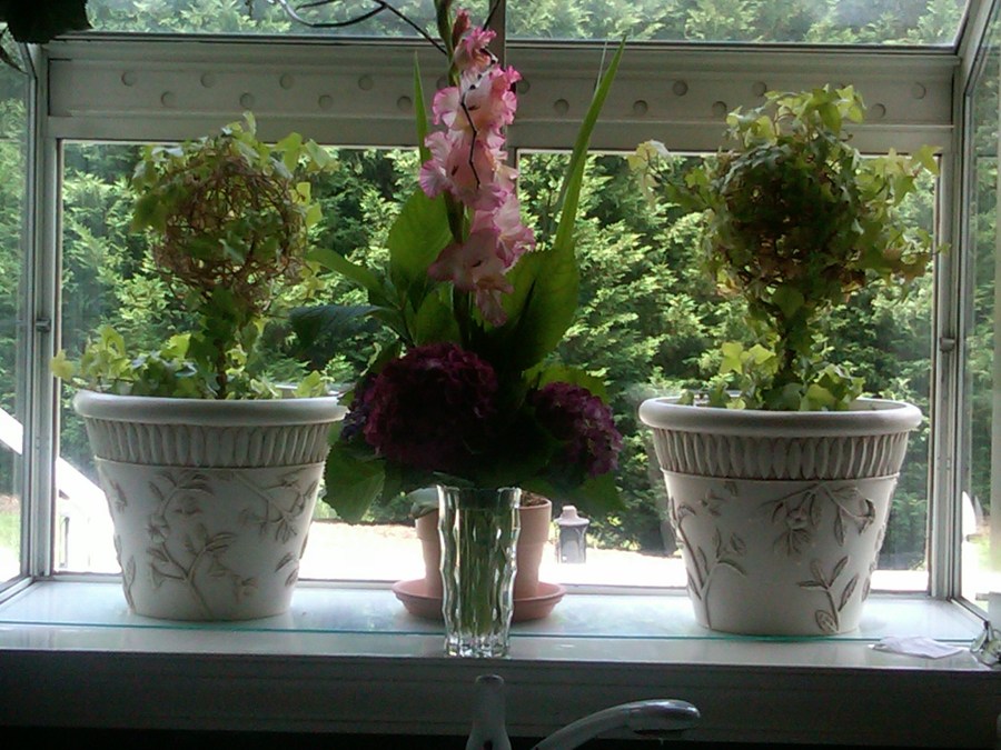 /home/wpcom/public_html/wp-content/blogs.dir/3e6/17878083/files/2011/07/gladiola-and-pink-hydrangeas.jpg