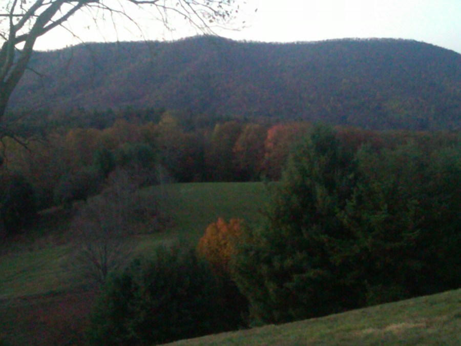 /home/wpcom/public_html/wp-content/blogs.dir/3e6/17878083/files/2011/09/autumn-in-bland-2010.jpg Last year's fall color just beginning in Bland, Virginia