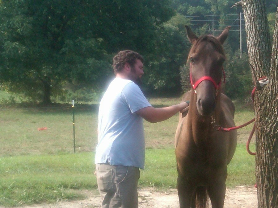 /home/wpcom/public_html/wp-content/blogs.dir/3e6/17878083/files/2011/09/caleb-brushing-choco.jpg Caleb brushing Choco