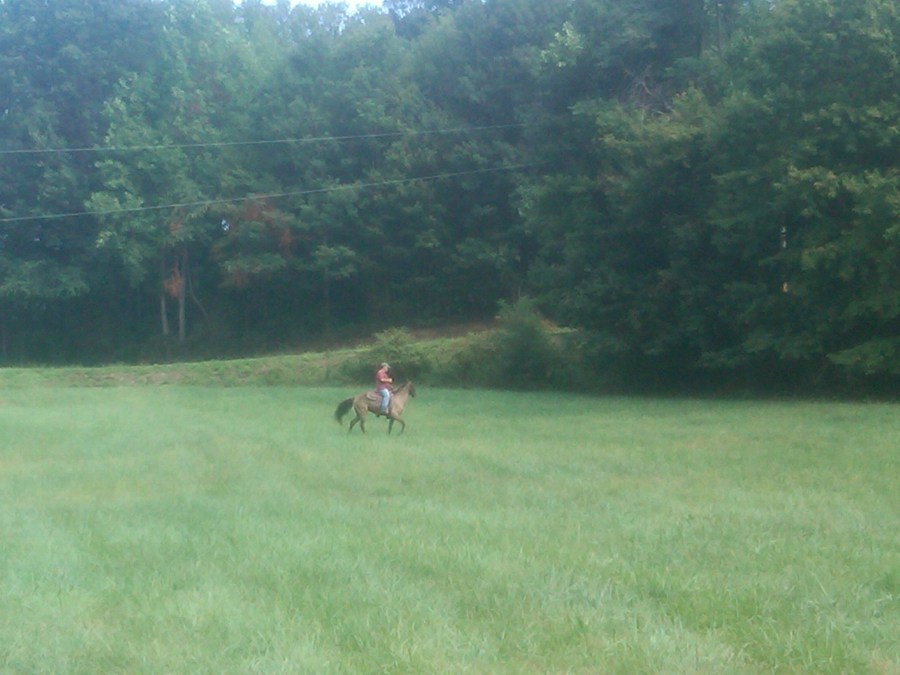 /home/wpcom/public_html/wp-content/blogs.dir/3e6/17878083/files/2011/09/choco-and-tony.jpg Choco and Tony