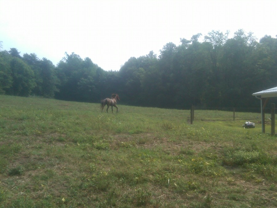 /home/wpcom/public_html/wp-content/blogs.dir/3e6/17878083/files/2011/09/choco-post-ride.jpg Choco After the Ride