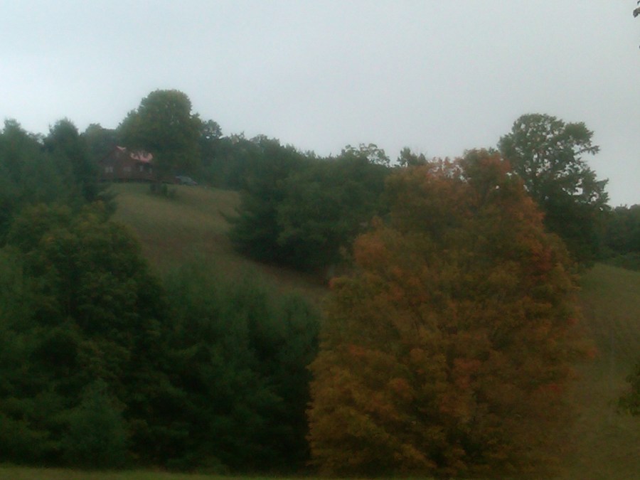 /home/wpcom/public_html/wp-content/blogs.dir/3e6/17878083/files/2011/09/colors-popping-out-below-cabin.jpg Fall Colors Below Cabin