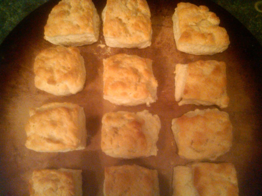 /home/wpcom/public_html/wp-content/blogs.dir/3e6/17878083/files/2011/09/finished-biscuits.jpg The Finished Biscuits!