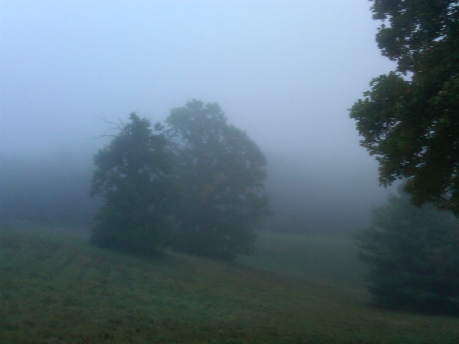 /home/wpcom/public_html/wp-content/blogs.dir/3e6/17878083/files/2011/09/foggy-bland-morning.jpg