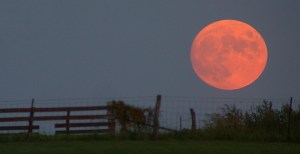 Harvest_moon