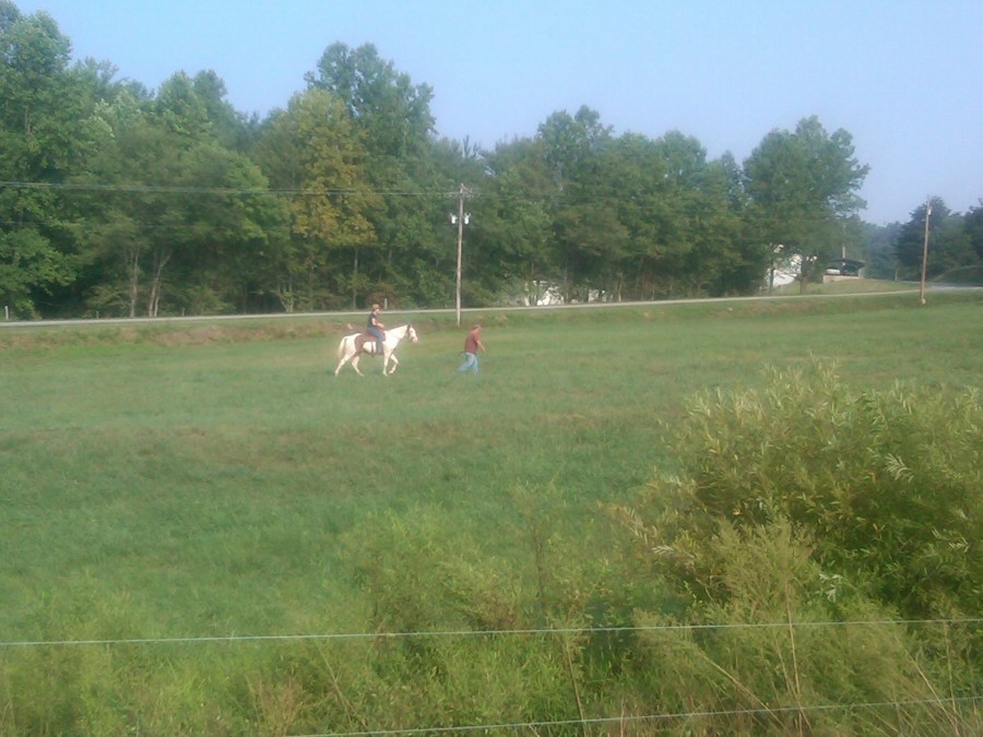 /home/wpcom/public_html/wp-content/blogs.dir/3e6/17878083/files/2011/09/learning-to-use-a-bosal.jpg Learning to use a Bosal