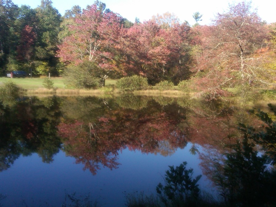 /home/wpcom/public_html/wp-content/blogs.dir/3e6/17878083/files/2011/10/little-glade-mill-pond-with-gorgeous-reflection.jpg Little Glade Mill Pond