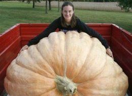 /home/wpcom/public_html/wp-content/blogs.dir/3e6/17878083/files/2011/10/s-pumpkin-large.jpg Photo Courtesy of Huffington Post