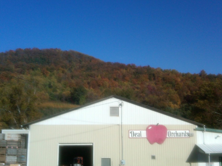 /home/wpcom/public_html/wp-content/blogs.dir/3e6/17878083/files/2011/11/homewpcompublic_htmlwp-contentblogs-dir3e617878083files201111deal-orchards-with-mountains.jpg Deal Orchards with Mountains in the Background