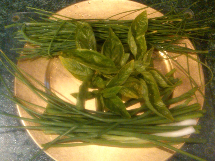 Basil, Scallions and Chives - more goodness from Mother Earth!