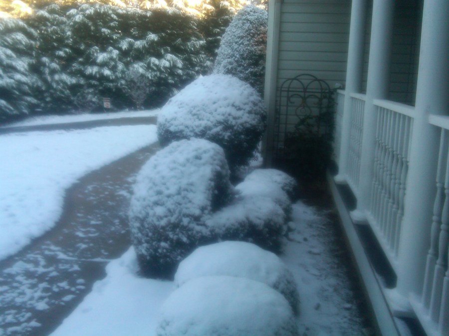 And turns shrubs into snowballs.  But it doesn't stick to the roads or walks.