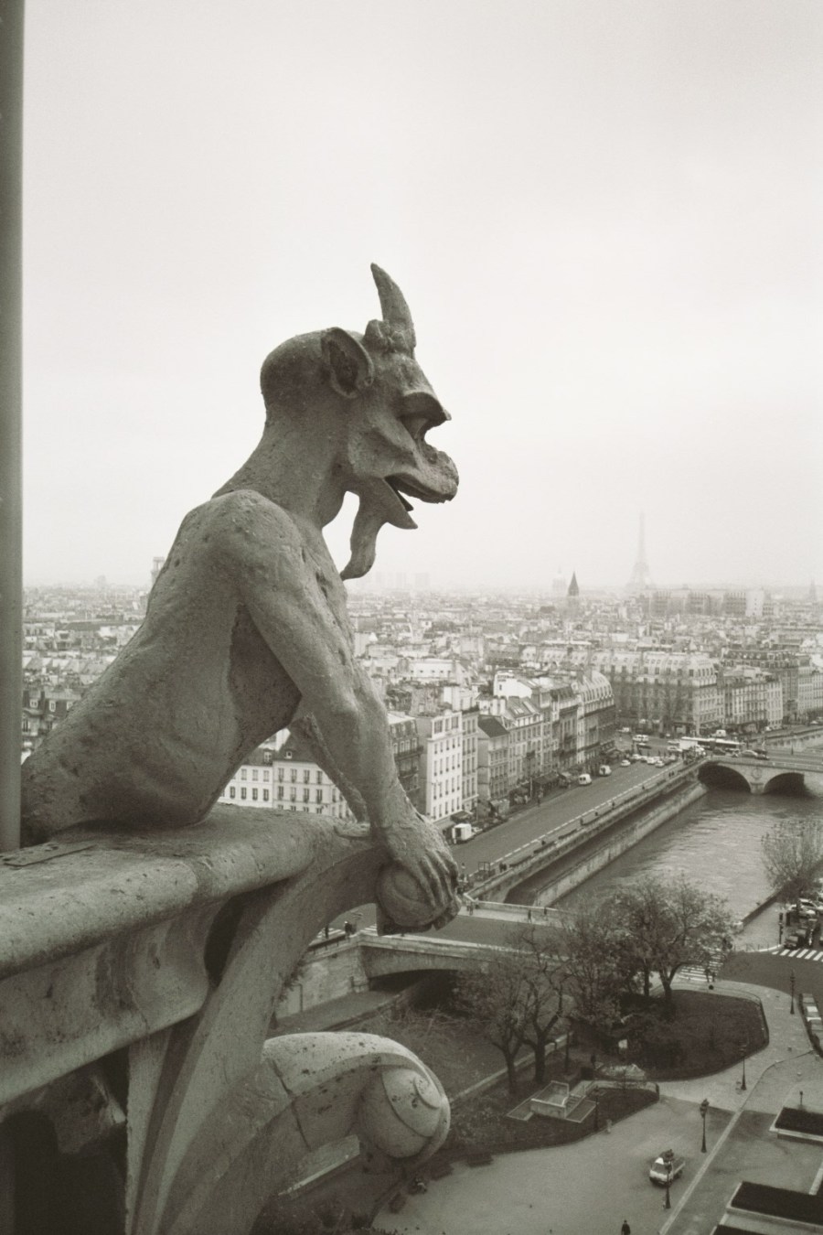 /home/wpcom/public_html/wp-content/blogs.dir/3e6/17878083/files/2012/04/black-and-white-gargoyle-with-eiffel-tower-and-my-favorite.jpg Gargoyle enjoying view of Paris, France