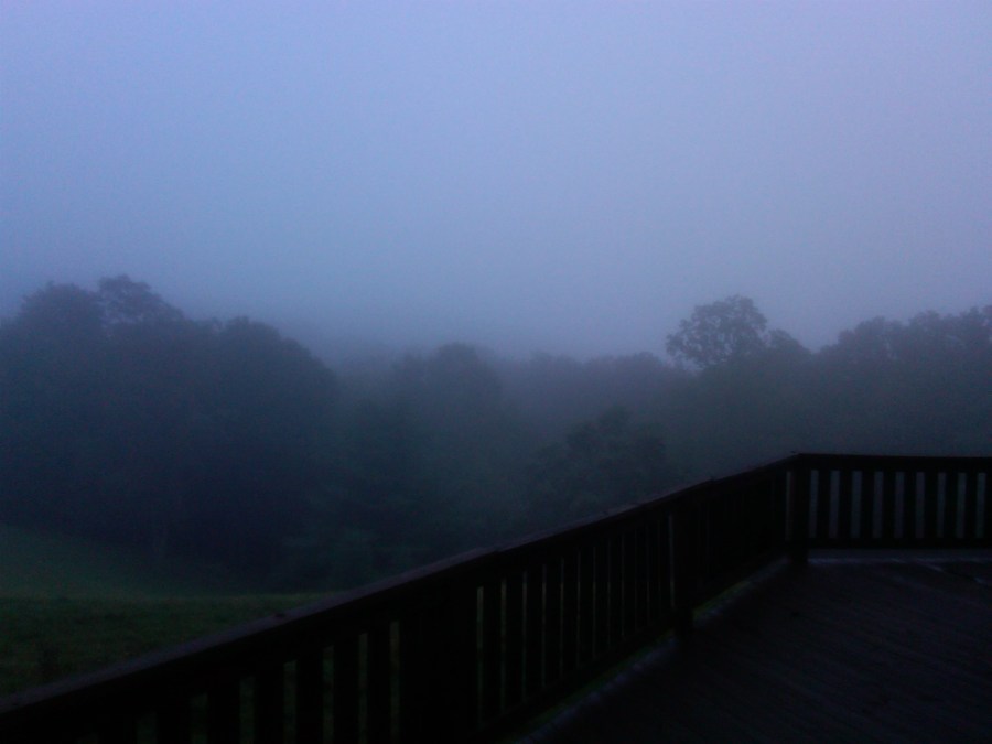/home/wpcom/public_html/wp-content/blogs.dir/3e6/17878083/files/2012/04/fog-in-bland.jpg View disrupted by fog in Bland, VA