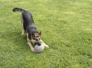 Gretel playing football
