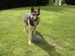 Gretel taking her side of the field.