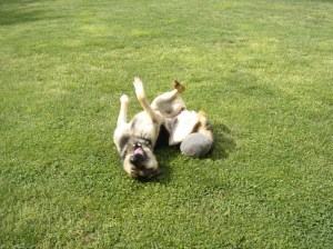 Gretl Upside down with football