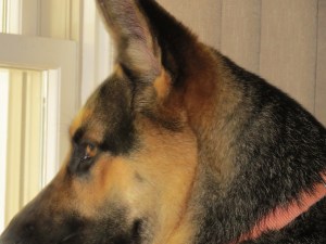 Gretel looking out window