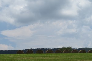 Crockett's Cove Hay bales
