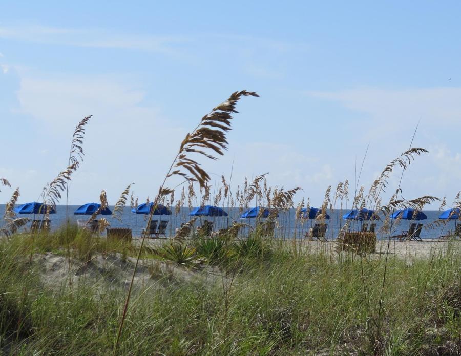 Hilton Head beach umbrellas and chairs