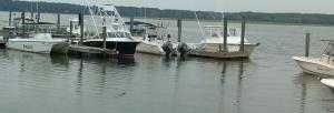Hilton Head boat and gator