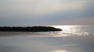 Hilton Head rocky beach glistening