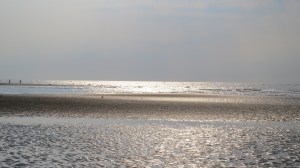 Hilton Head sunlight on water