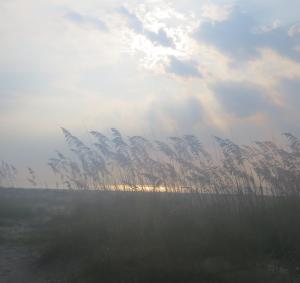 Hilton Head sunrise through sea grass
