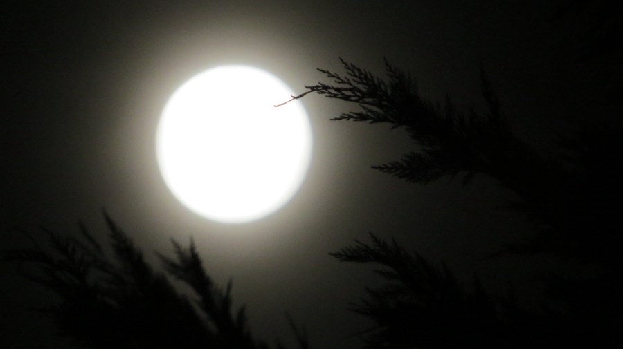 On the night of the eclipse.