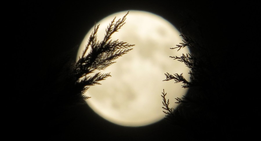 Fingers around the moon