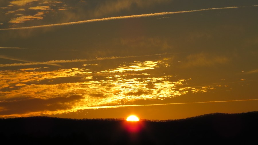 Sunrise behind trees bland 7