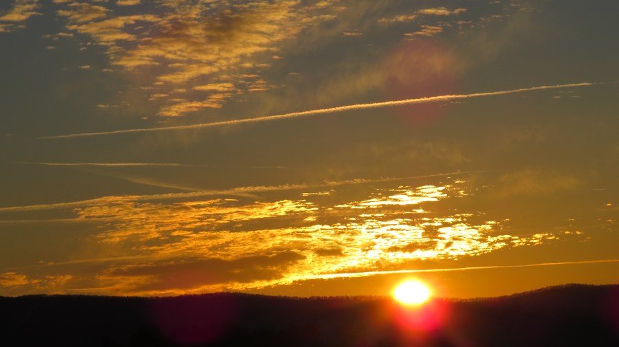 Sunrise behind trees bland 8
