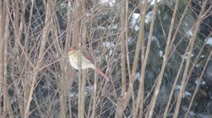 Striking, isn't she?